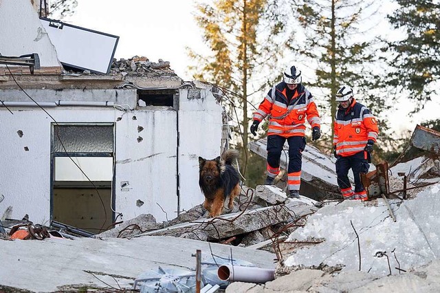 Die BRH-Rettungshundestaffel Breisgau-Ortenau sucht neue Mitglieder.  | Foto: Marijan Murat (dpa)