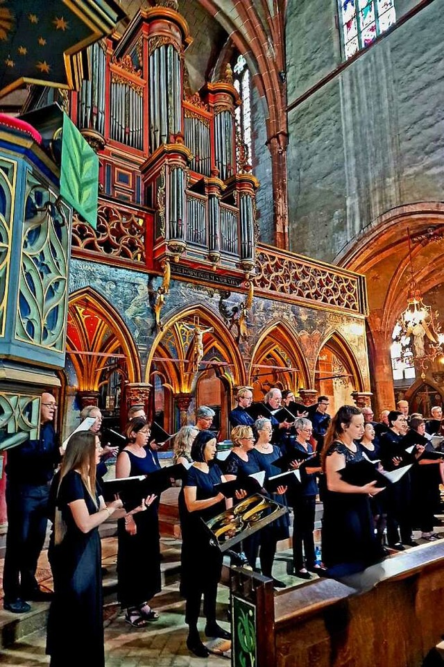 Die Cappella West Freiburg bei einem Auftritt im Sommer 2023 in Straburg  | Foto: Privat