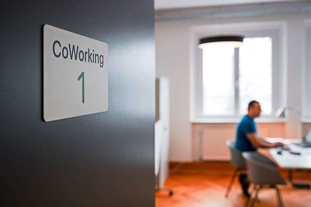 In zwei kostenlosen Workshops zum Cowo...der aktuelle Projektstand prsentiert.  | Foto: Daniel Vogl (dpa)