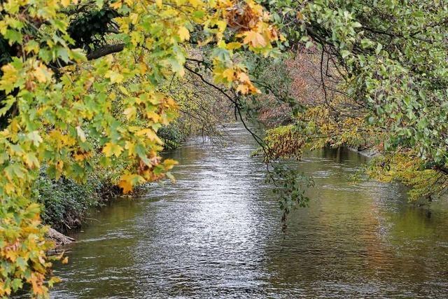 Wenn Natur und Freizeit auf der Alten Elz kollidieren