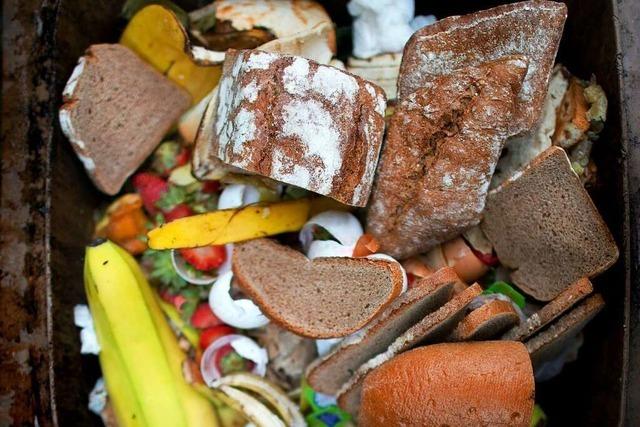 Haushalte in Schweizer Rheinfelden dokumentieren, wie viel Essen im Mll landet