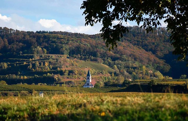 Die Bergkirche St. Petronilla in Kiechlinsbergen, von Sasbach aus gesehen.  | Foto: Roland Vitt
