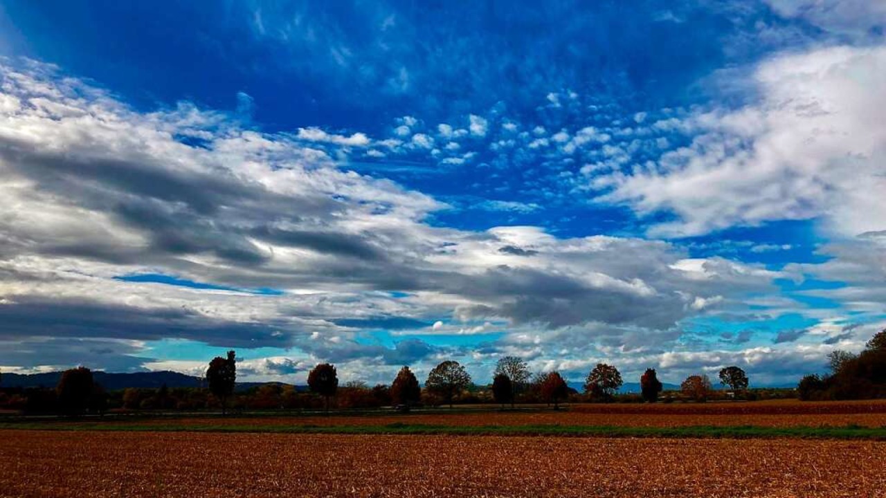 Entlang der B3 bei Malterdingen zieht sich eine richtig schöne
