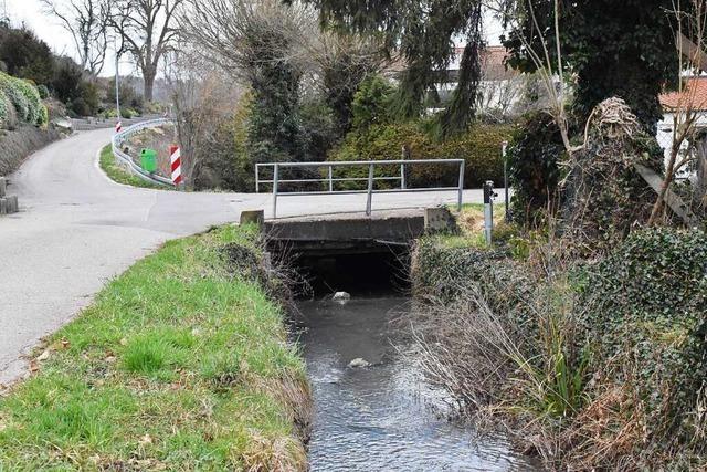 Der Plan fr Hochwasserschutz in Lrrach-Brombach wirft Fragen auf