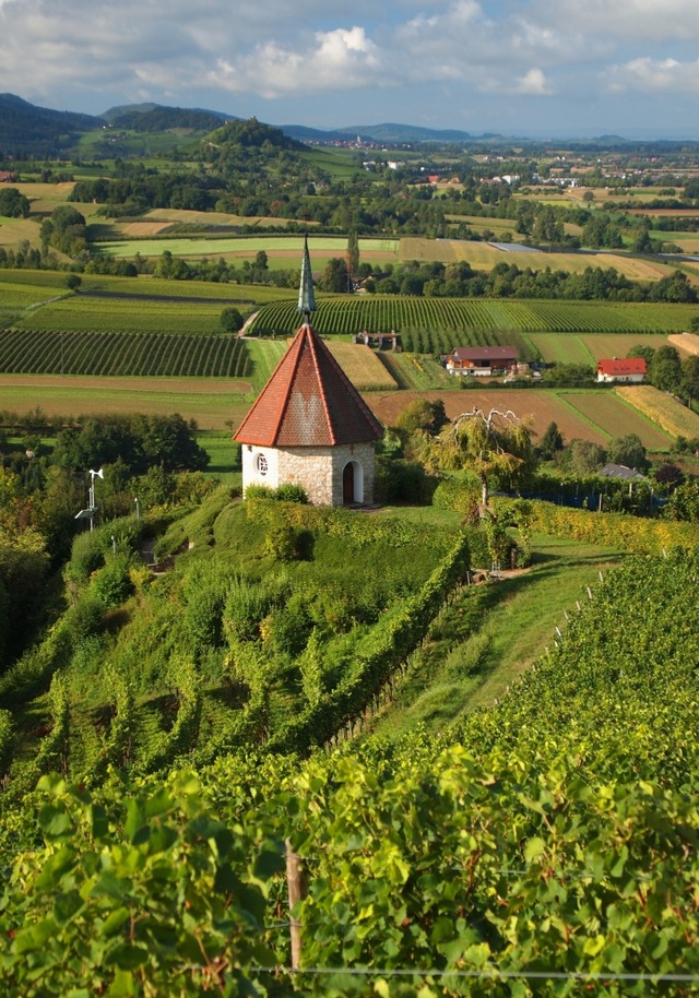 Blick von der lbergkapelle.  | Foto: privat