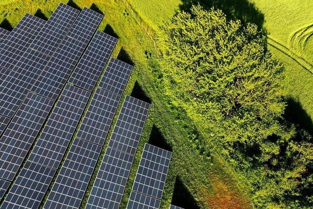 Solarpark bei Oberwangen soll Bauruine ersetzen
