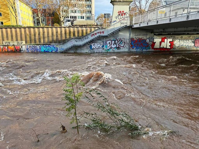 Dreisam-Hochwasser an der Ochsenbrcke in Freiburg  | Foto: Valentin Heneka