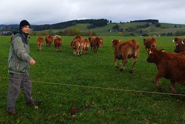 Nick Brinkmann kmmert sich um die Rinder, er baut einen neuen Zaun auf.  | Foto: Sidney-Marie Schiefer