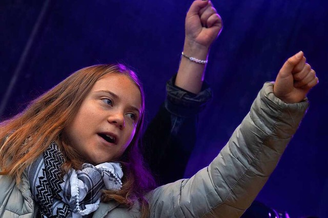 Greta Thunberg bei einer Demonstration in Amsterdam  | Foto: Peter Dejong (dpa)