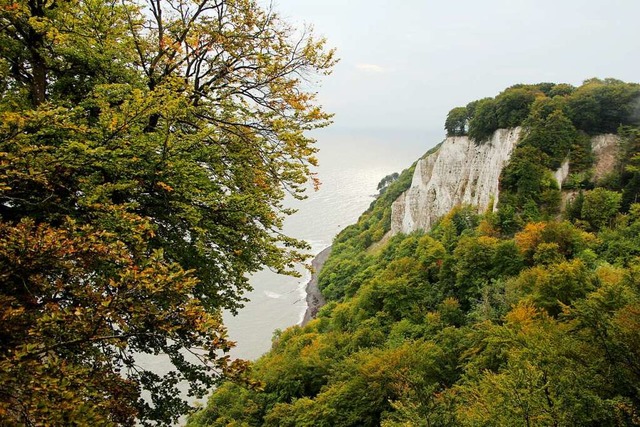 Die Kreidefelsen des Nationalparks Jas... beliebtes Ausflugsziel fr Touristen.  | Foto: Alexandra Frank (dpa)