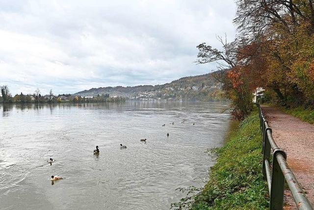 Der Rhein steigt immer weiter