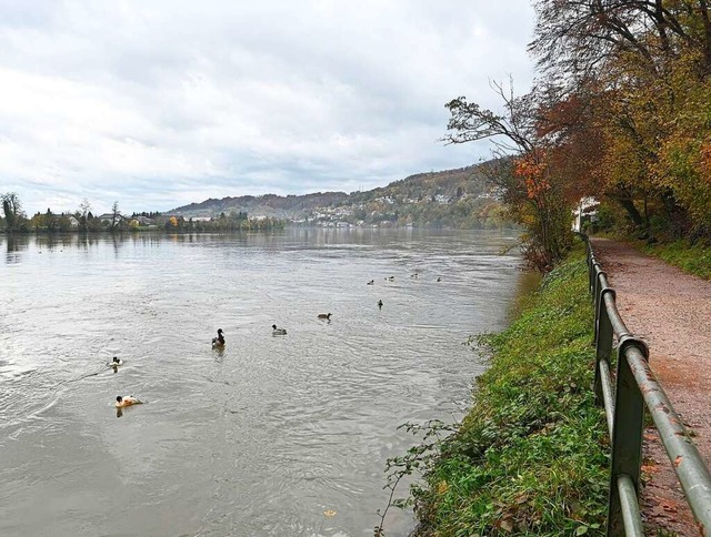 Wegen des Dauerregens fhrt der Rhein,...#8211; und es knnte noch mehr werden.  | Foto: Rasmus Peters