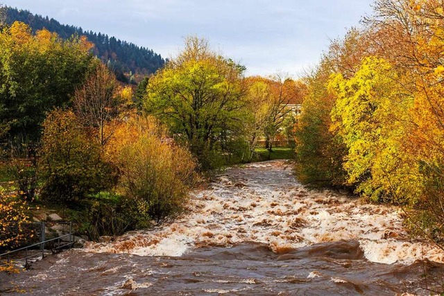 Auch die Dreisam hat dieser Tage reich...). Nun fllt ihr Wasserstand deutlich.  | Foto: Philipp von Ditfurth (dpa)