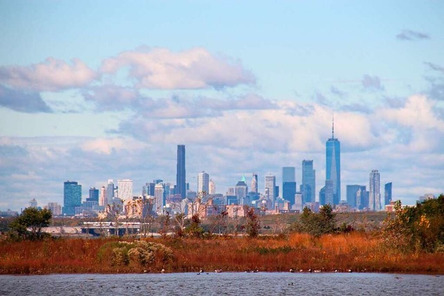 Die Skyline von Manhattan, im Vordergr...222;Jamaica Bay Wildlife Refuge&#8220;  | Foto: Christina Horsten (dpa)