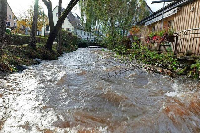 Schutz vor Hochwasser wird Kirchzarten weiter beschäftigen