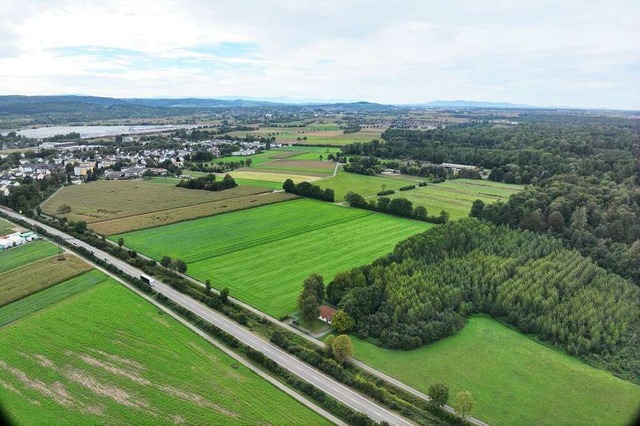 Die Grnflchen in der Mitte stellen d...wrts (rechts vom Huschen) vorziehen.  | Foto: Stadt Lahr