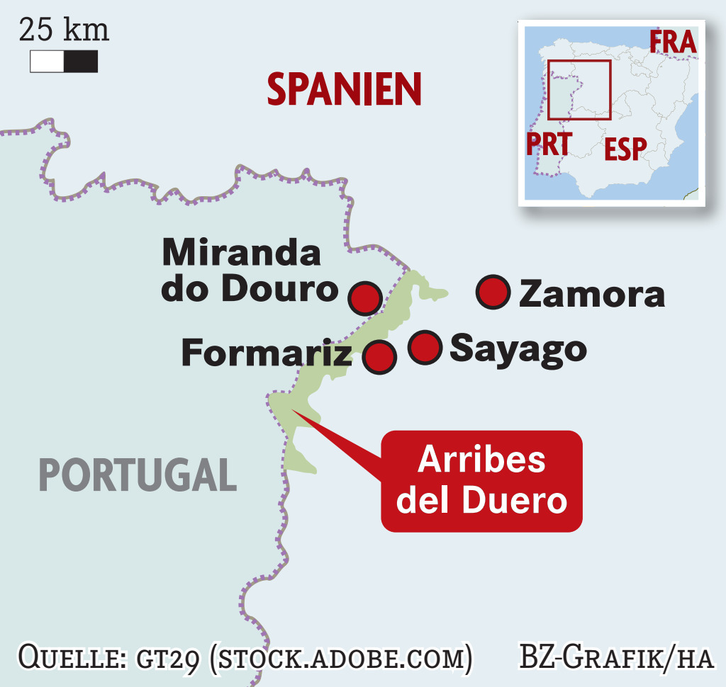 Zamora / Spanien Infobox Badische Zeitung
