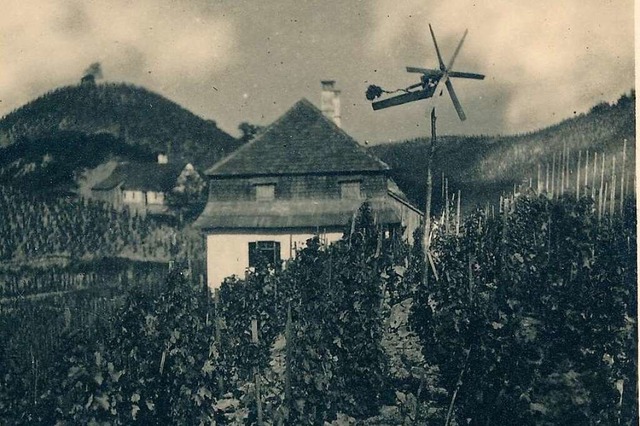 Auf einem alten Foto ist die Villa mit den  Weinbergen drumherum zu sehen.  | Foto: Repro: Privat