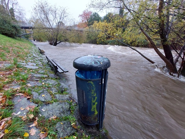 Die Hochwassersituation der Dreisam am Freitagmorgen.  | Foto: Max Schuler
