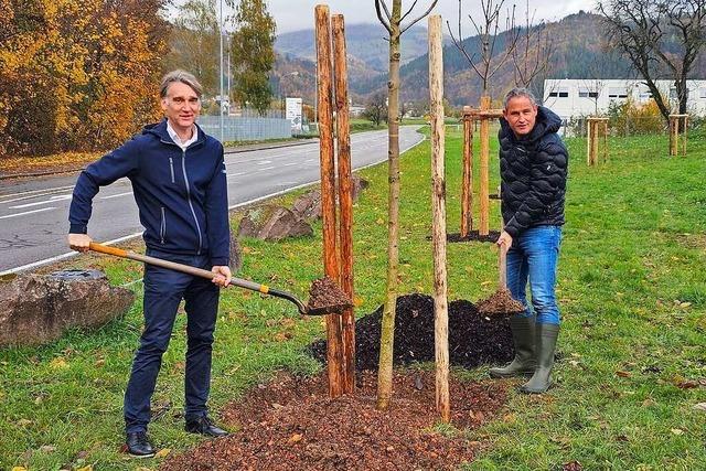 Das Schopfheimer Unternehmen Magnetic pflanzt Bäume als Ausgleich für Dienstreisen