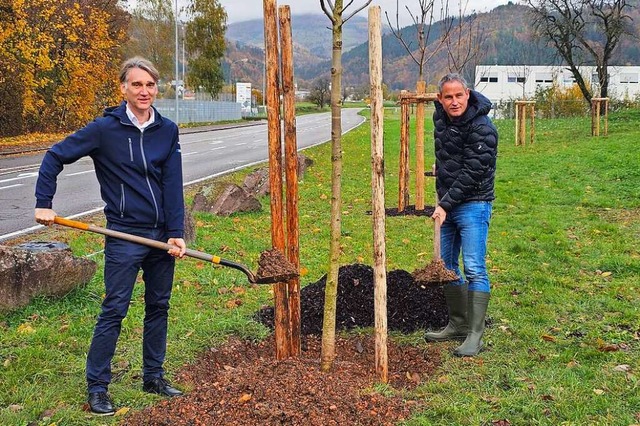 Brgermeister Dirk Harscher (rechts) u...er zwlf Kastanien am Radweg Friedhof.  | Foto: Gerald Nill