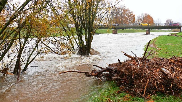 Hochwasser der Elz in Emmendingen  | Foto: Philipp Peters