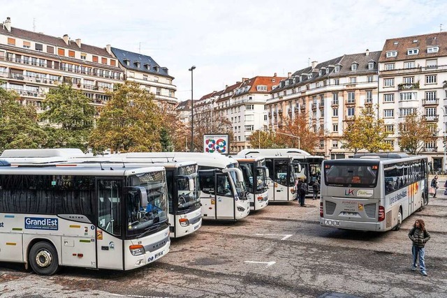 Die Busse drfen auf dem Straburger B...dern nur fr Ein- und Ausstieg halten.  | Foto: Anne Telw