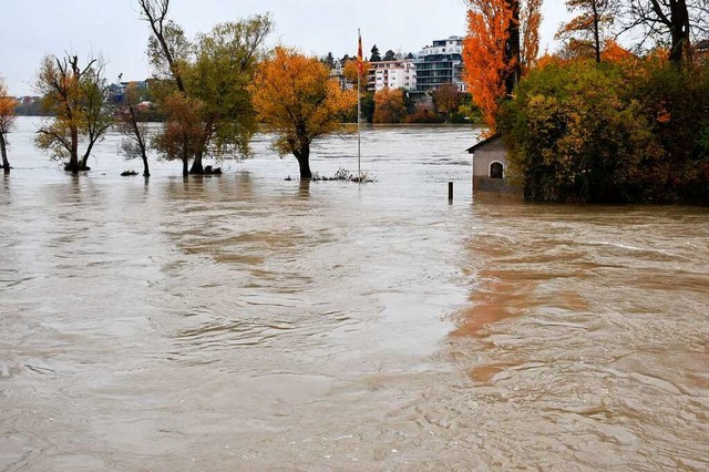 Der Rhein hat das Inseli bei Rheinfelden berflutet.  | Foto: Heinz und Monika Vollmar