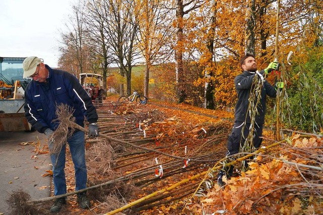 Auf der Parkflche beim Friedhof stutz...scal Millkorb Zweige und Wurzelenden.   | Foto: Silke Hartenstein