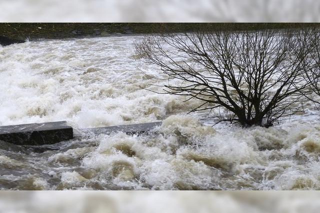 Hochwasser an der Elz ebbt ab