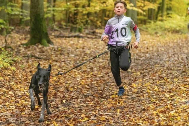 Deutscher Meister im Canicross