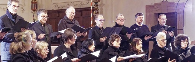 Der Kirchenchor St. Peter Endingen gab...ines Konzert mit Chor- und Orgelmusik.  | Foto: Ilona Hge