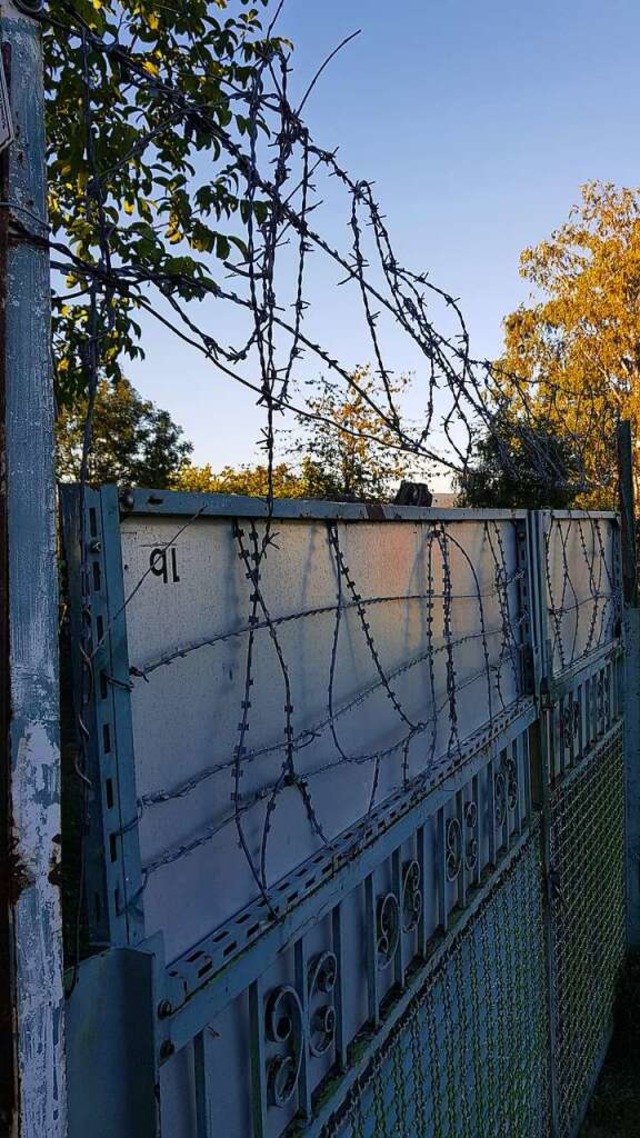 Stacheldraht im Auenbereich: Damit soll endgltig Schluss sein.  | Foto: Christian Kramberg