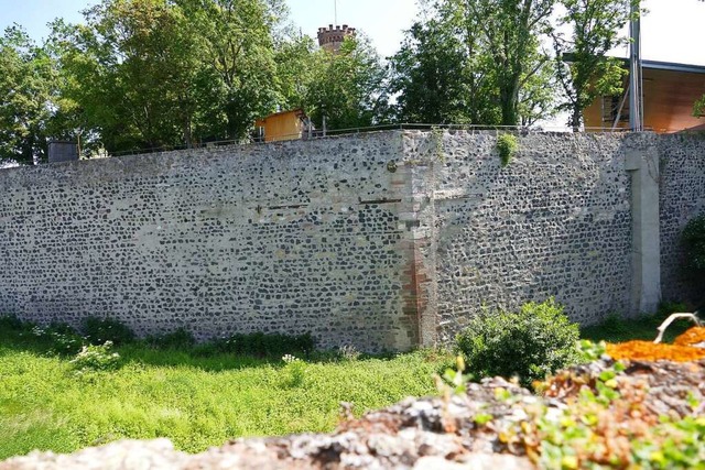 Fr die Sanierung der Breisacher Stadt...kommende Jahr 470.000 Euro vorgesehen.  | Foto: Dirk Sattelberger