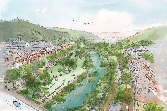 Pläne zu Umgestaltung der Dreisamufer kommen in Freiburger Gemeinderat gut an