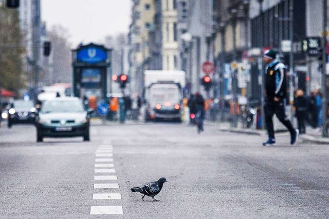 Auch kleinere Tiere knnen mitunter ei...e auf moderne Verkehrstechnik treffen.  | Foto: Carsten Koall (dpa)