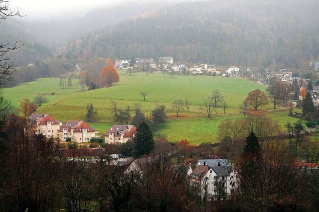 Die Bebauung der groen grnen Hangwie...hl-Sdwest wird nicht weiter verfolgt.  | Foto: Silke Hartenstein