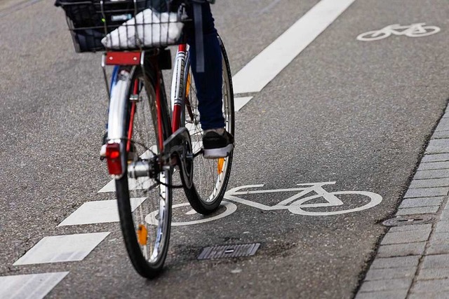 Auch ber einen mglichen Radwegeanschluss nach Seebrugg wurde diskutiert.  | Foto: Philipp von Ditfurth (dpa)