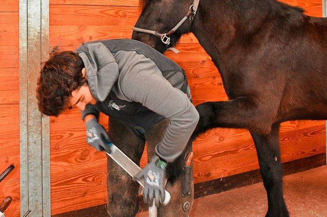 Wichtig bei der Arbeit als Hufschmied ist die Kommunikation zu den Pferden.  | Foto: Joachim Mller-Bremberger