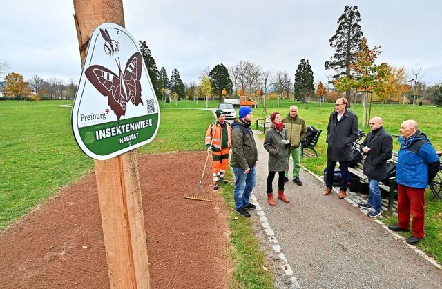 Eine der neu angelegten Insektenwiesen im Seepark  | Foto: Michael Bamberger