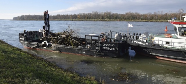 Das Motorschiff &#8222;Freiburg&#8220;...ken der Pegel von Treibholz und Unrat.  | Foto: Roland Vitt