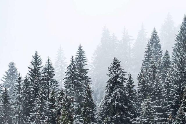 Am heutigen Samstag knnte es im Hochschwarzwald bis zu 30 Zentimeter Schnee geben
