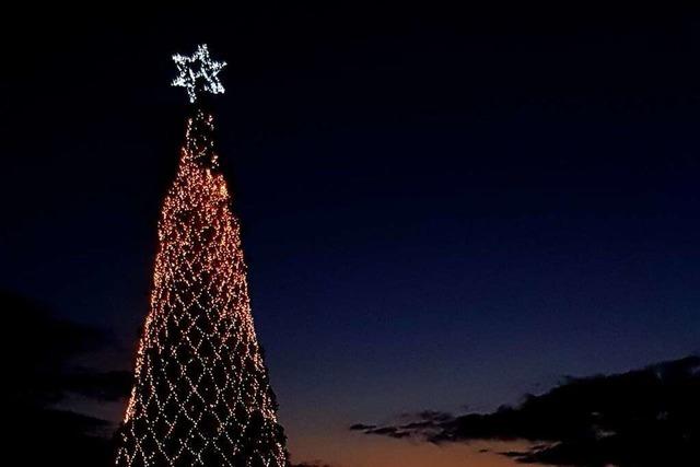 Der Wellingtonia-Weihnachtsbaum in Kippenheim-Schmieheim bleibt bleibt in diesem Jahr dunkel
