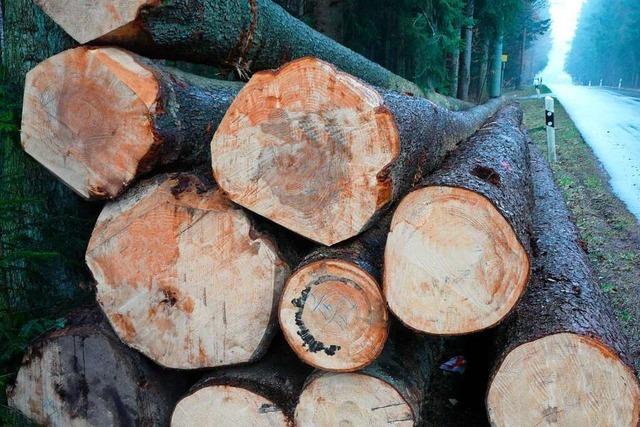 Was den Waldbesitzer am geplanten Waldgesetz gegen den Strich geht