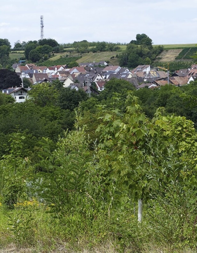 Blick vom Erlebnisweg Steinbruch Kapf   auf  Huttingen  | Foto: Victoria Langelott