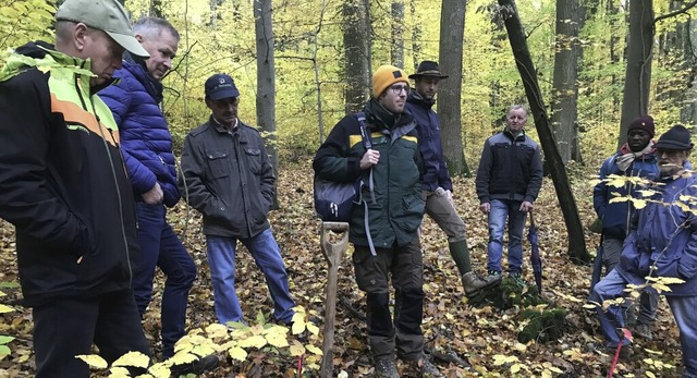 Was Trockenheit in Auggens Gemeindewal...i der Waldbegehung und im Gemeinderat.  | Foto: Jutta Schtz