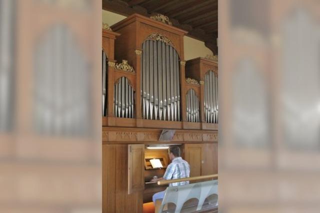 Steinhoff soll Merklin-Orgel sanieren