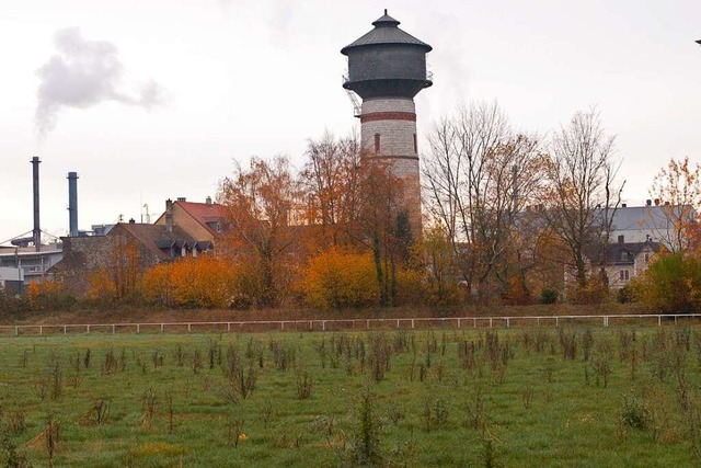 Der alte VfR-Platz in Rheinfelden  | Foto: Ingrid Bhm