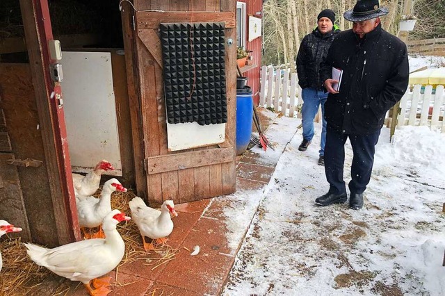 Beim Ortstermin werden die Gänse in Augenschein genommen. | Foto: Hans-Jochen Köpper Beim Ortstermin werden die Gänse in Augenschein genommen. | Foto: Hans-Jochen Köpper