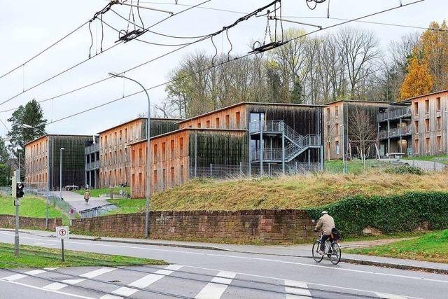 Freiburgs Stadtverwaltung braucht mehr Platz fr Geflchtete